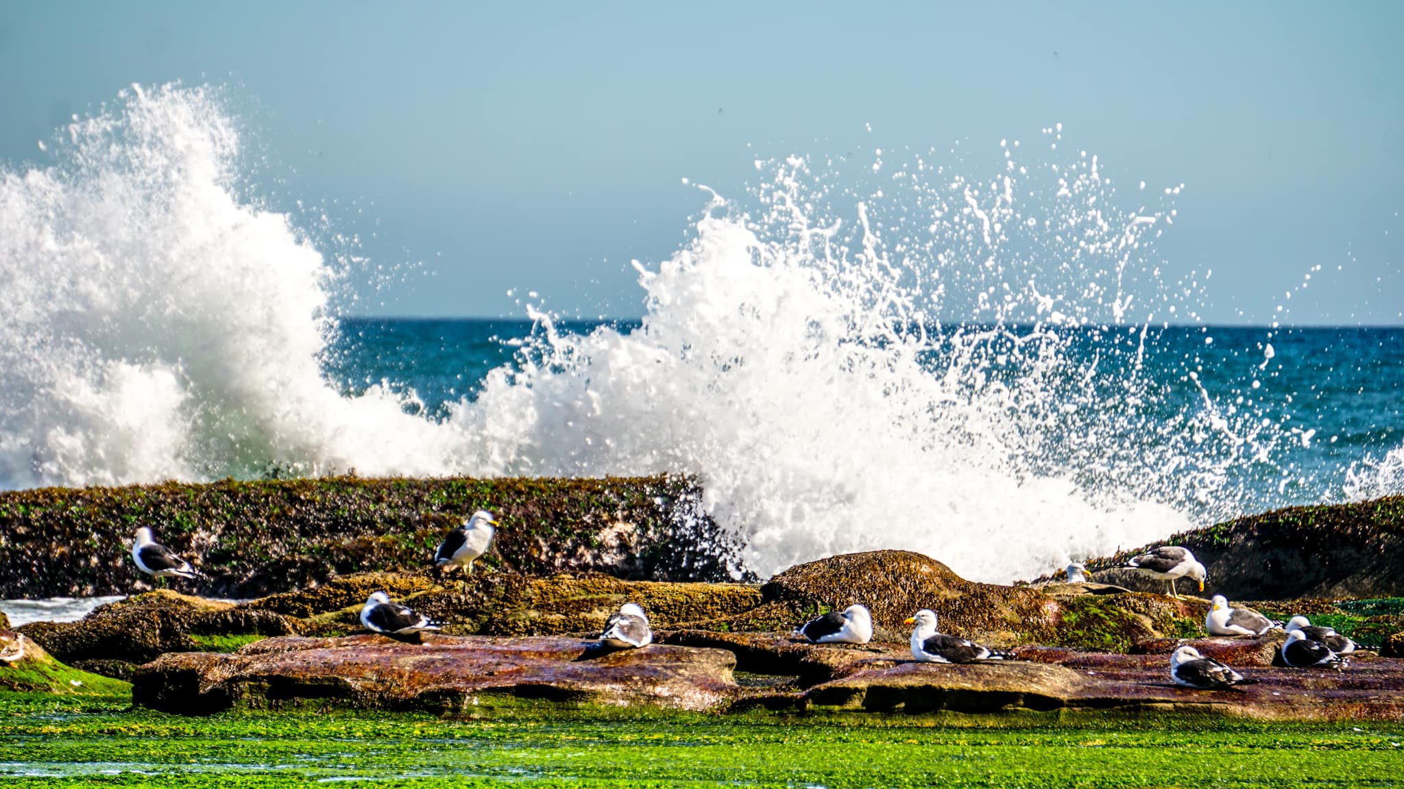 488673890_3912671325712982_5525869489080303946_n