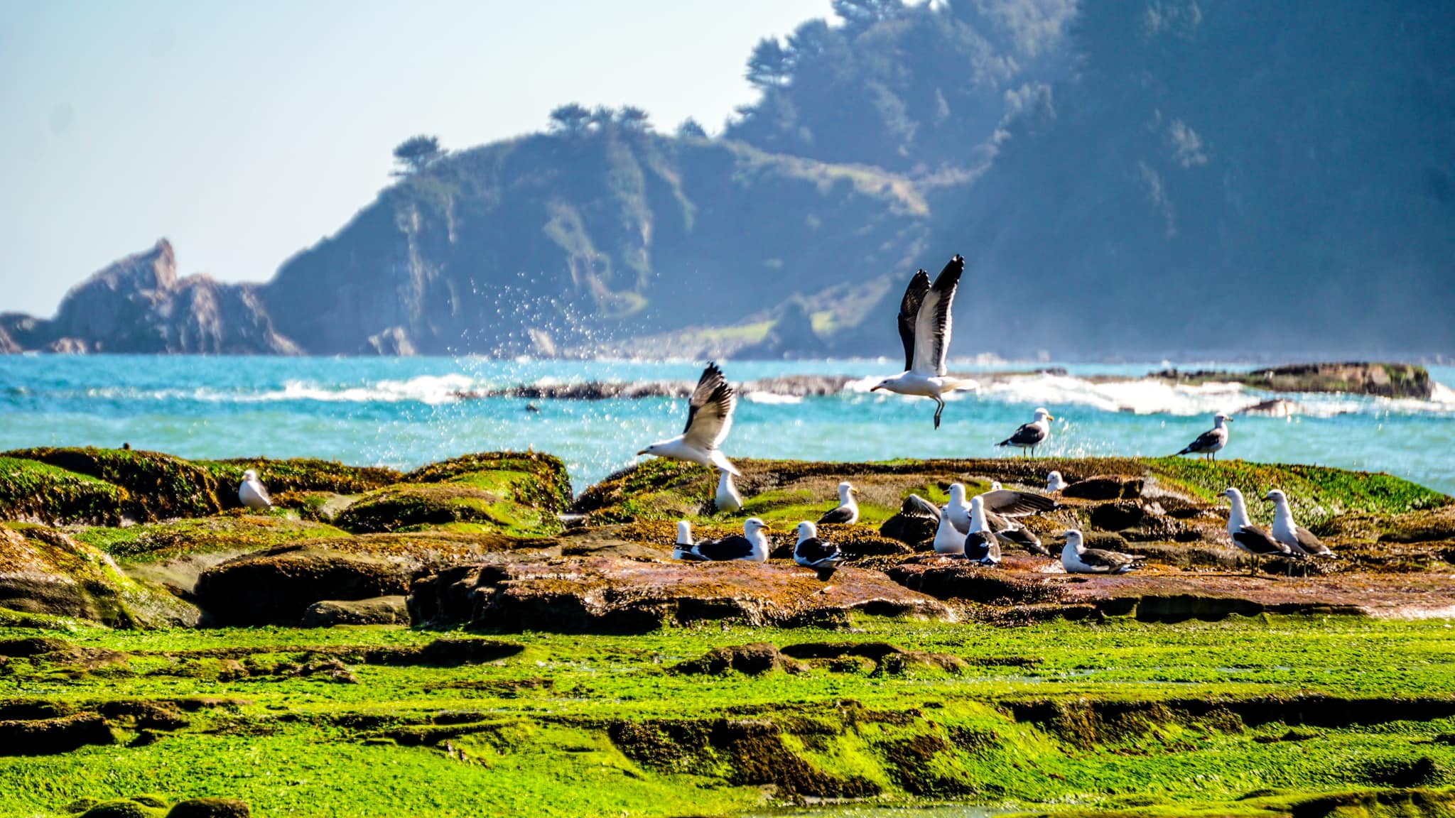 488757005_3912671332379648_5548246130371252394_n